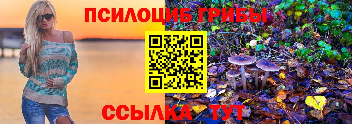 Кисловодск  Галлюциногенные грибы мицелий  Галлюциногенные грибы MAGIC MUSHROOMS  что такое   Вход с VPN 