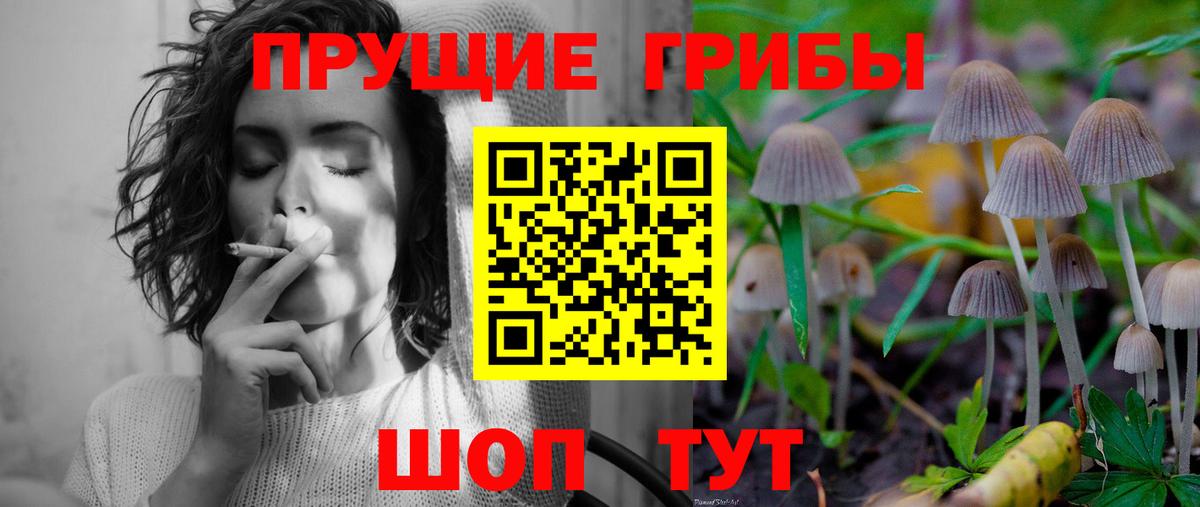 Галлюциногенные грибы MAGIC MUSHROOMS Кисловодск